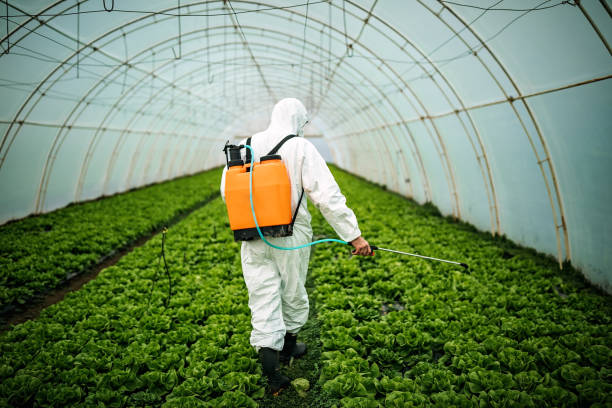 Pest Control for Restaurants in Richmond, IN
