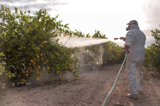 Best Termite Control Services  in Richmond, IN