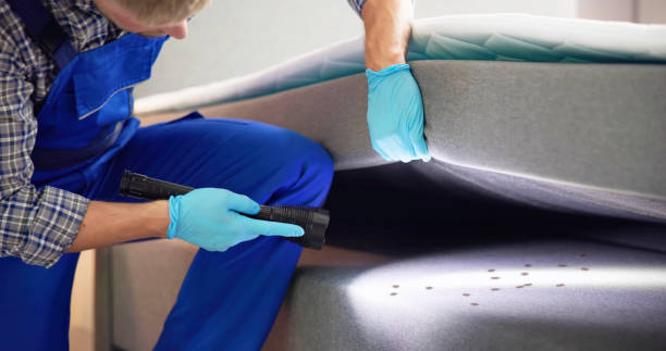 Best Residential Pest Control  in Richmond, IN