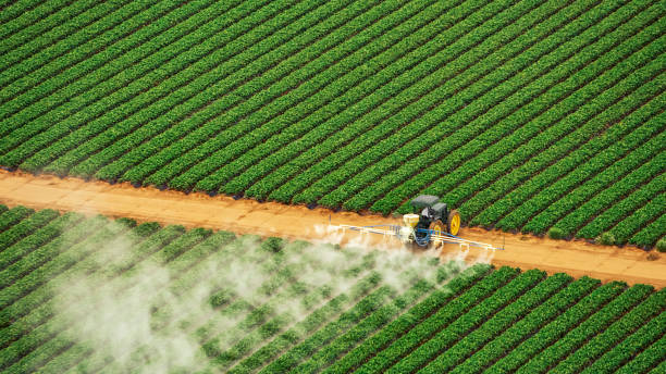 Pest Control Cost in Richmond, IN