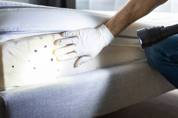 Best Commercial Pest Control Services  in Richmond, IN