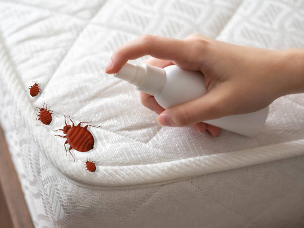 Best Exterminator Services  in Richmond, IN