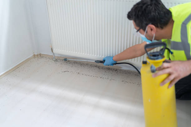 Best Pest Control for Restaurants  in Richmond, IN