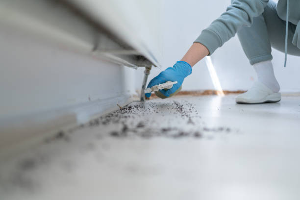 Best Mosquito Control Services  in Richmond, IN